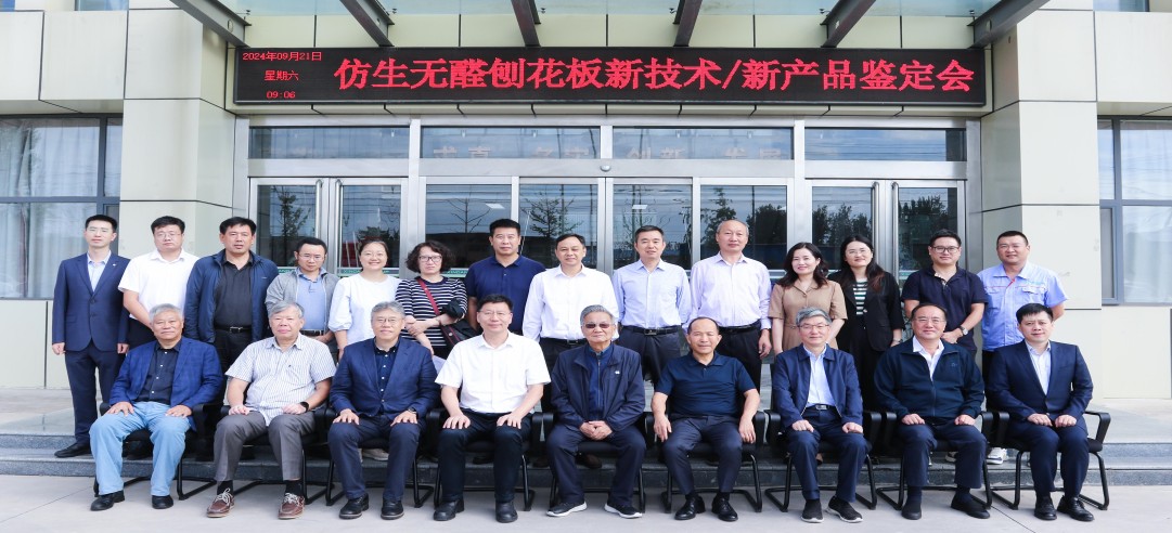 重磅！新港集團(tuán)和東北林業(yè)大學(xué)共同研發(fā)的仿生無(wú)醛刨花板新技術(shù)/新產(chǎn)品通過(guò)4項(xiàng)“國(guó)際領(lǐng)先”水平鑒定!