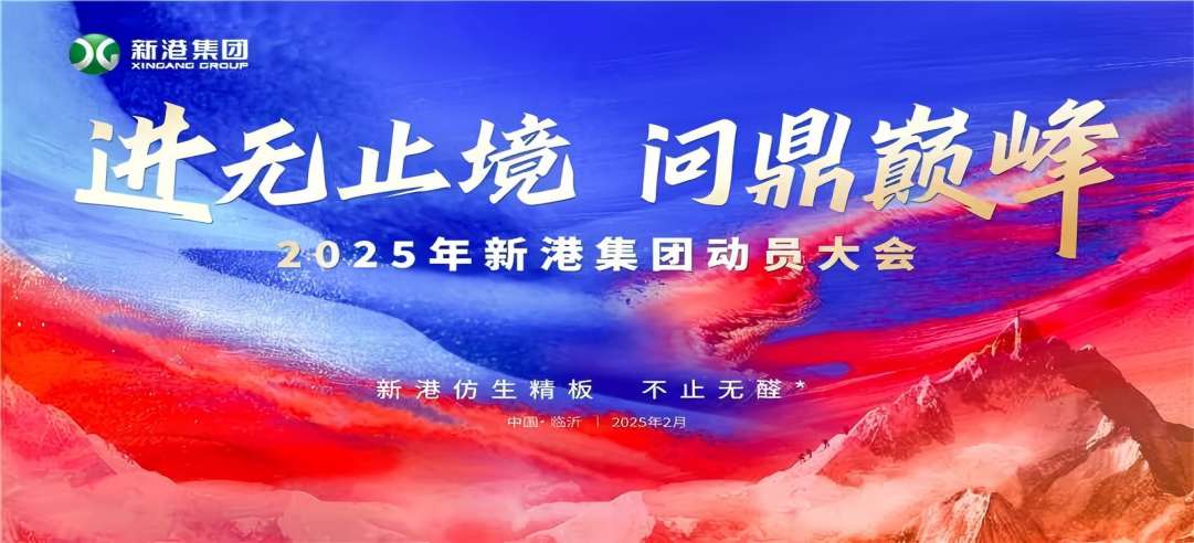 進(jìn)無止境，問鼎巔峰！2025年新港集團(tuán)動員大會成功召開！